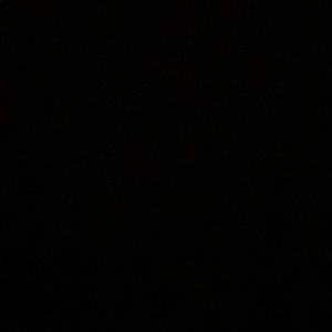 Meet your Posher, Samuel